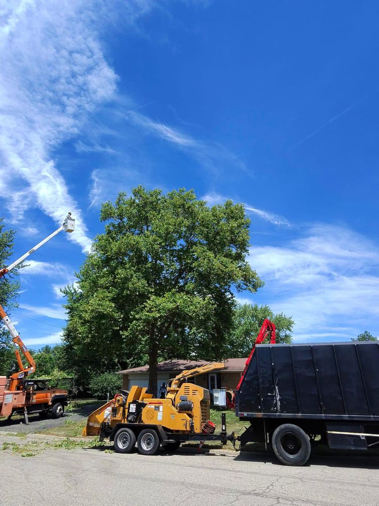 All Photos for F & F Tree Service in Beavercreek, OH
