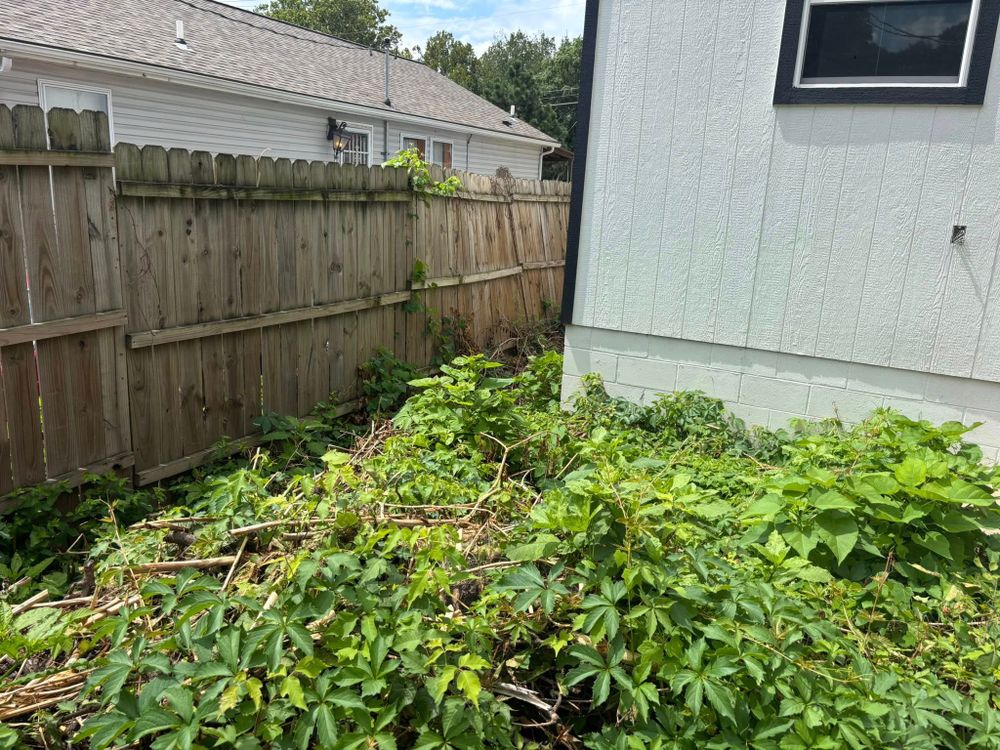 All Photos for Cross Family Tree Service in Kearney, MO