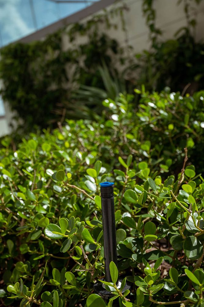 Irrigation for Arazoza Brothers Corporation in Miami, FL