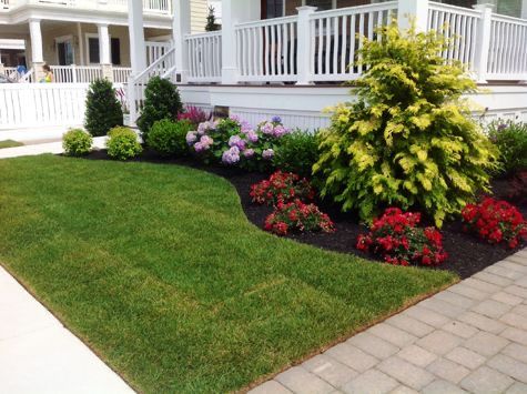 Fall and Spring Clean Up for GM Landscaping  Construction LLC in Philadelphia, Pennsylvania