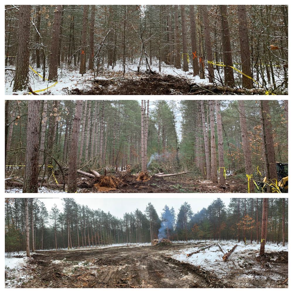 All Photos for Palmer Property Services in Middleville, MI