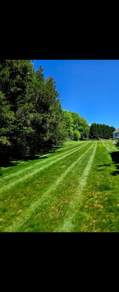 Our Tree & Shrub Care service ensures healthy, vibrant plants through expert pruning, disease management, and nutrient optimization, enhancing your landscape's beauty and longevity while promoting environmental health in your outdoor space. for Johnson Lawn Services in Fredericksburg, VA