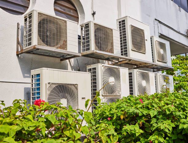 The Cold Standard HVAC team in Pinellas County, FL - people or person