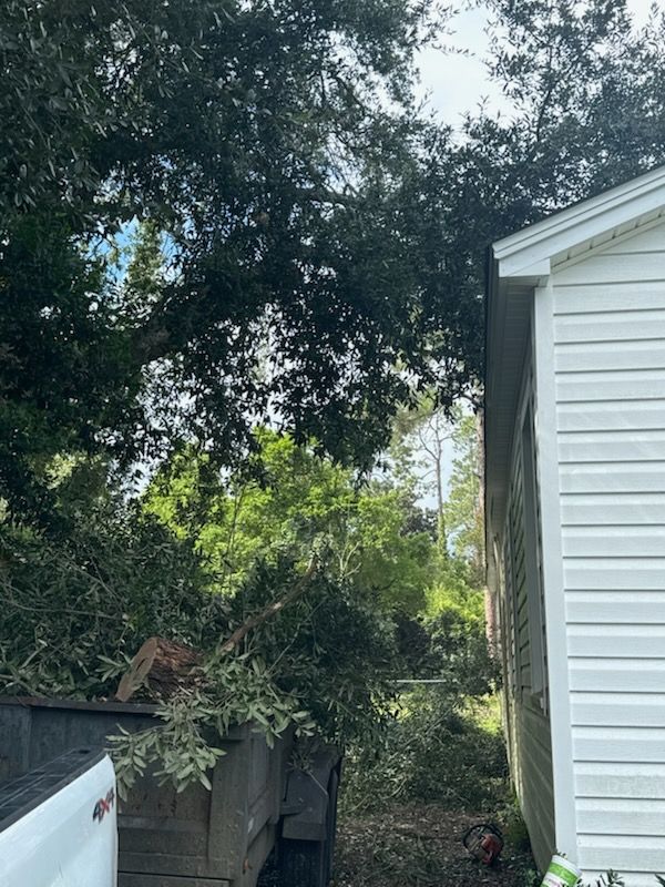 Enhance your landscape's health and beauty with our professional tree trimming service. Our experts ensure precise cuts to promote growth, improve safety, and maintain the aesthetic value of your property. for Hawkins Tree Service & Land Management in Richmond Hill, GA