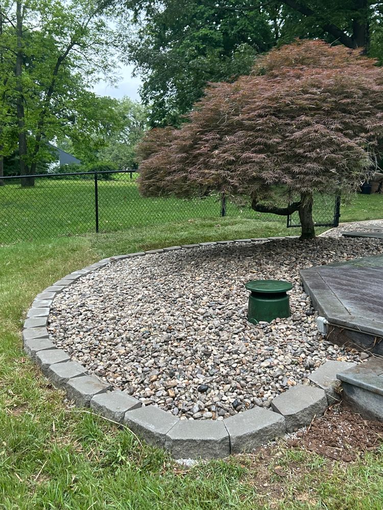 Before and after  for Optimum Tree Service And Landscaping in Bowling Green, KY