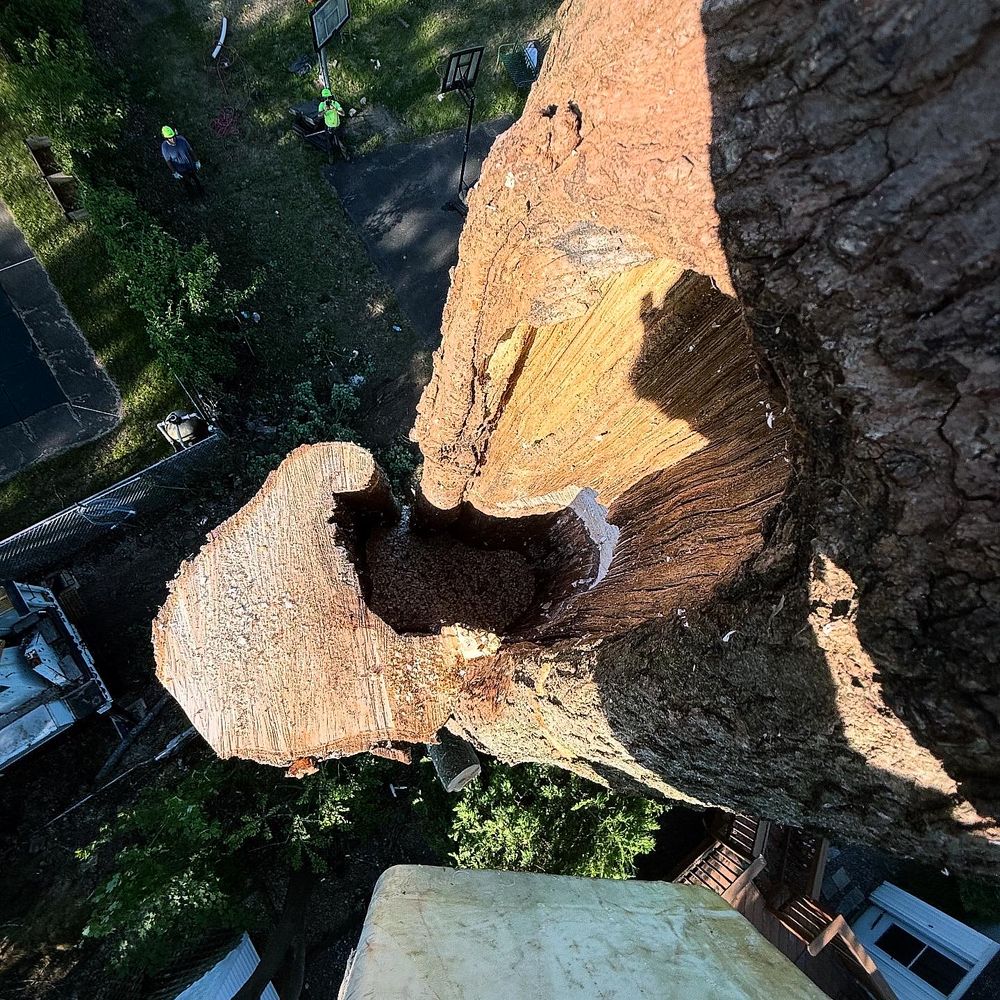 All Photos for Hennessey Tree & Landscape LLC in Oxford,  CT 