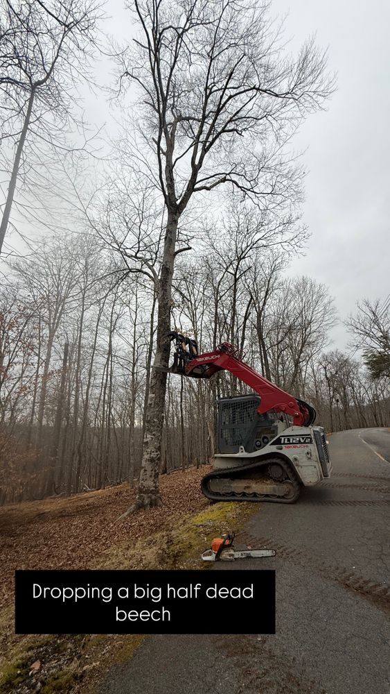 All Photos for West Landworks in Bean Station, TN