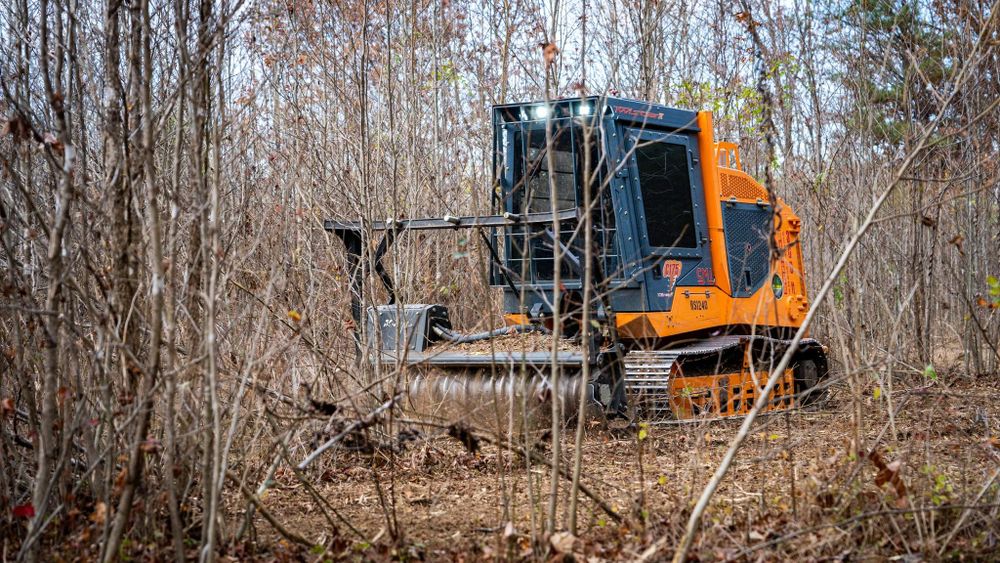 All Photos for Mud Creek Vegetation Management in Russellville, AL