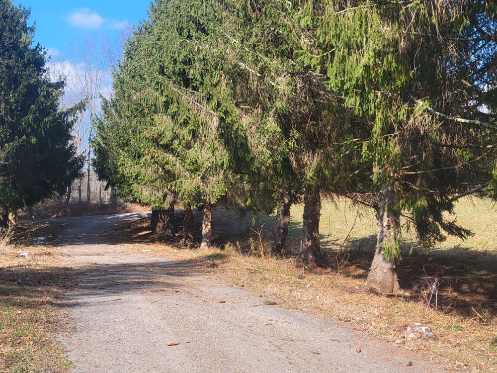 All Photos for Down Home Landscaping in Stillwater, PA