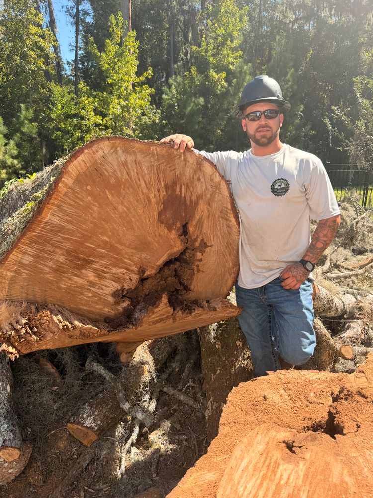 All Photos for Hawkins Tree Service & Land Management in Richmond Hill, GA