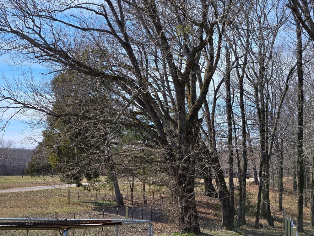 All Photos for Patriot Fence  in Oakland, TN
