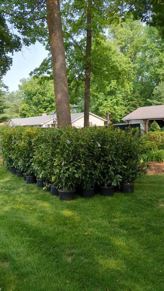All Photos for Conoy Acres Lawn Service in Elizabethtown, PA