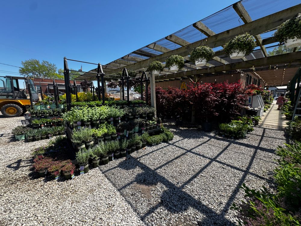 All Photos for Mayfield Landscaping in Staunton, IL