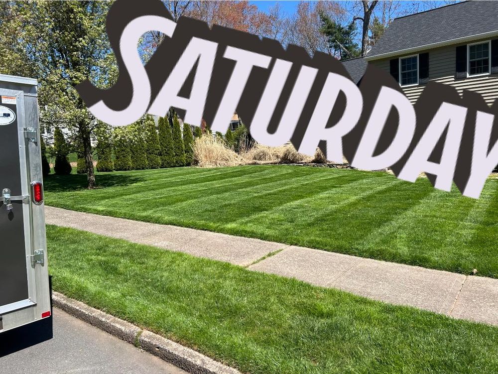 All Photos for Dibs Landscaping LLC in Cheshire, CT