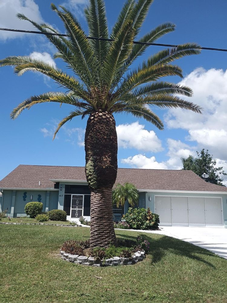 All Photos for Unity Maintenance & More LLC in Englewood, FL