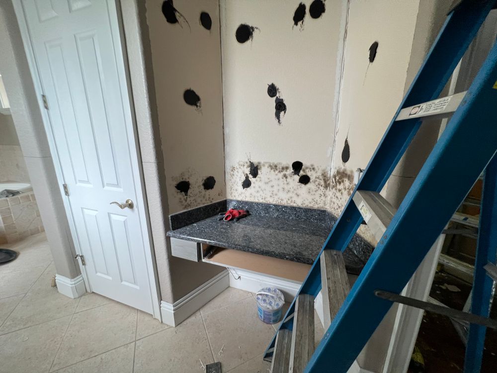 Mold Remediation for N&D Restoration Services When Disaster Attacks, We Come In in Cape Coral,  FL