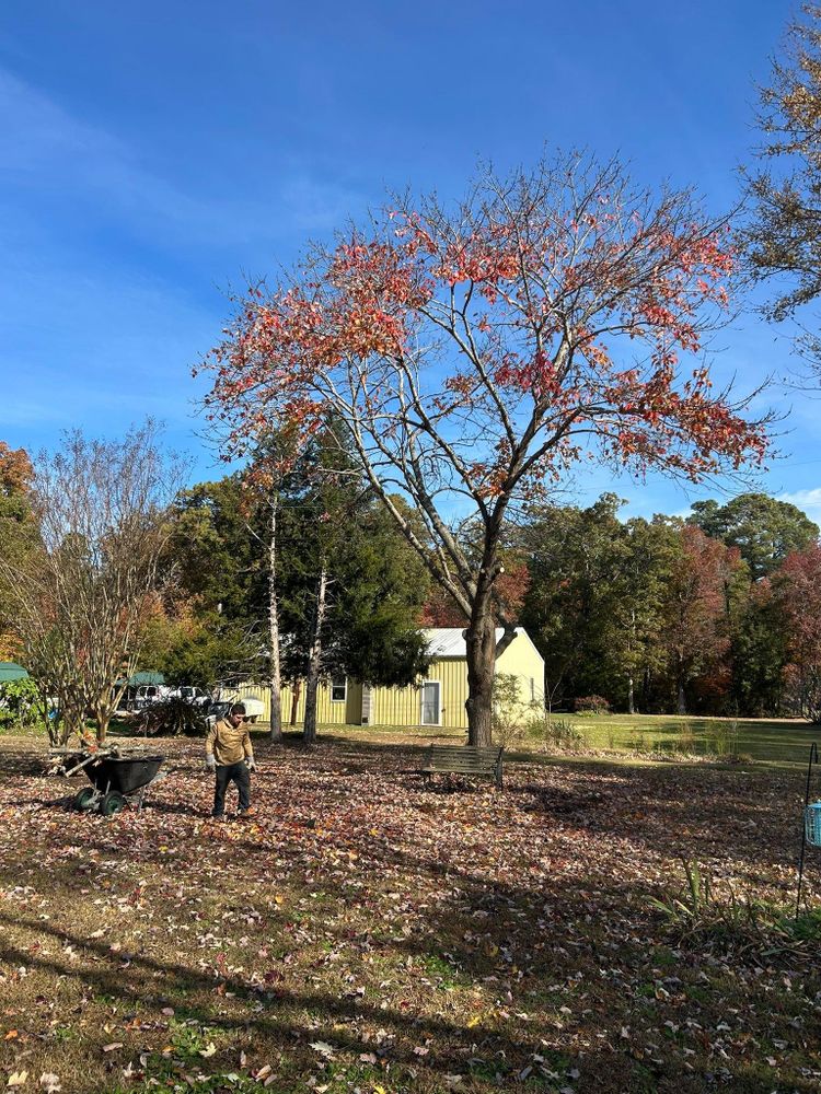 All Photos for The Whole 9 Yards Landscape VA in Heathsville, VA