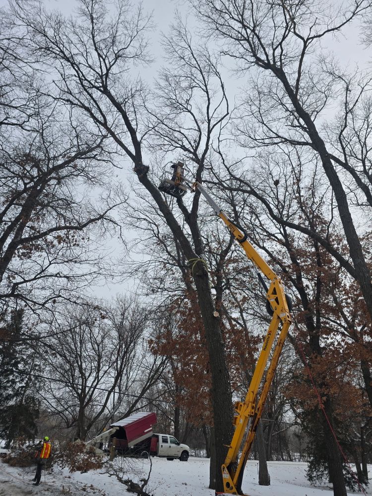 All Photos for K and Z Tree Care in Isanti County, MN