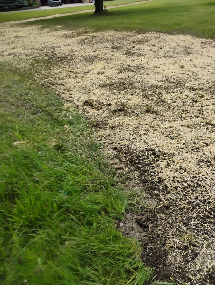 All Photos for Lighthouse Lawn Care and Irrigation in Marysville, MI