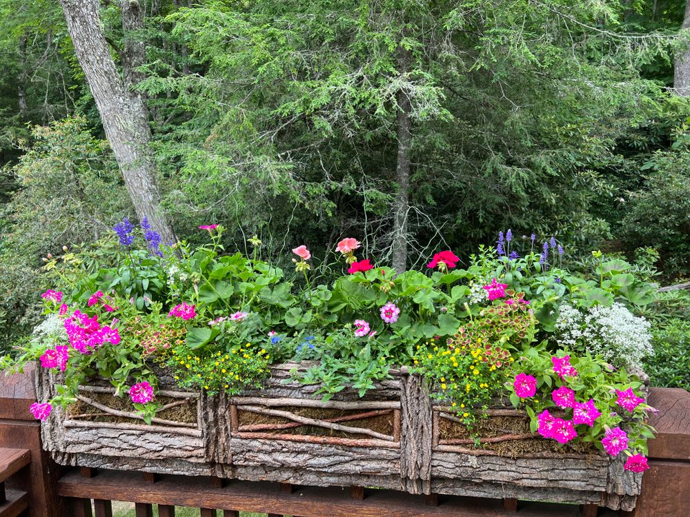 Container Gardening for Sustainable Lawn and Landscape in Banner Elk, NC