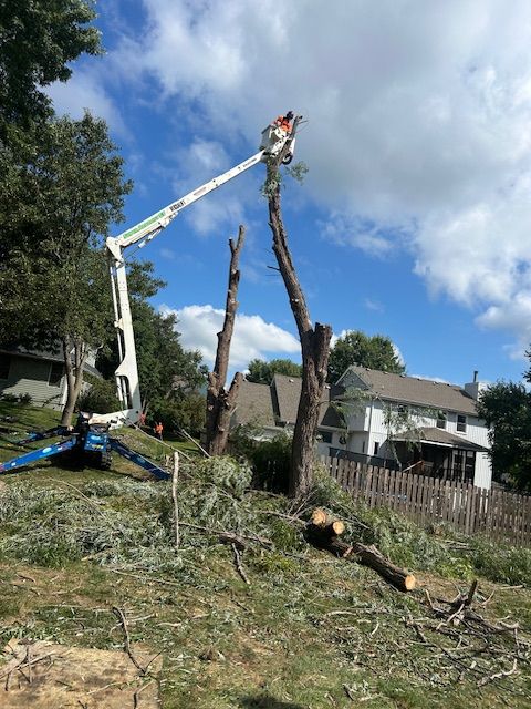 All Photos for Cross Family Tree Service in Kearney, MO