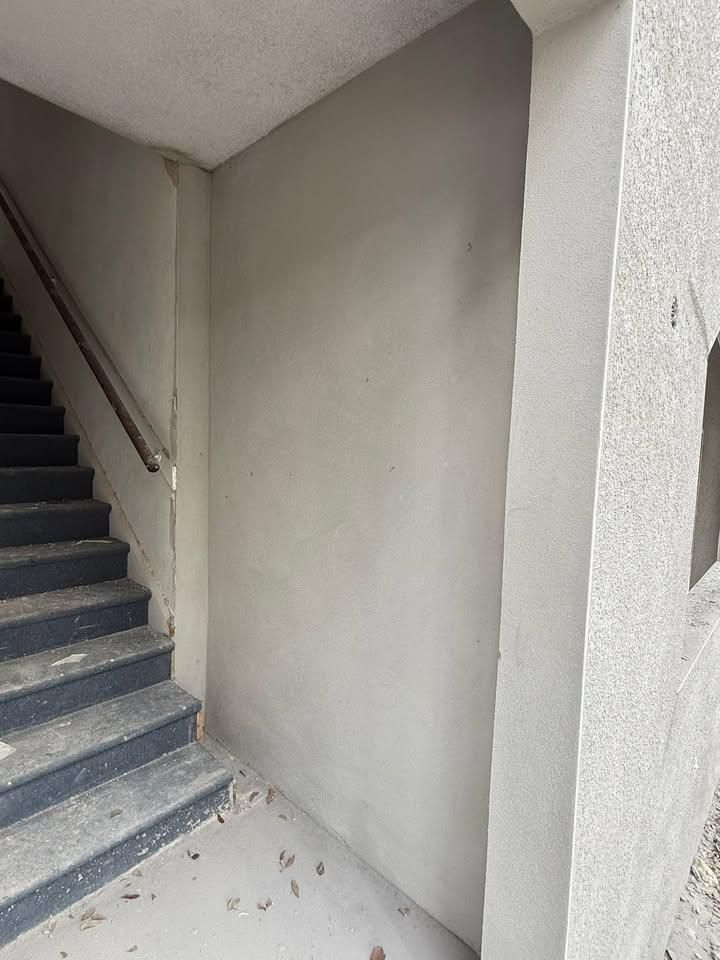 All Photos for Escorpio Painting in Tampa, FL