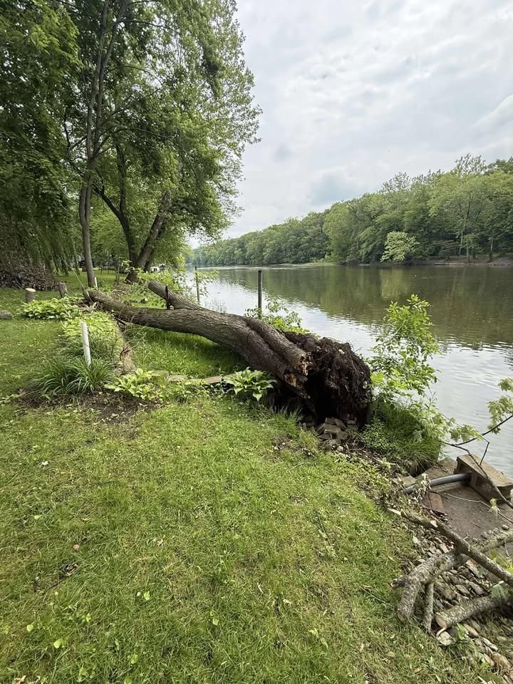 All Photos for Hunnicutt’s Tree Service L.L.C. in Monticello, IN