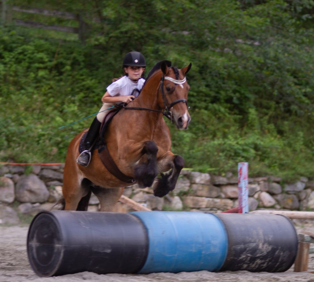 Lessons for Blue Stone Farm in Wantage, NJ