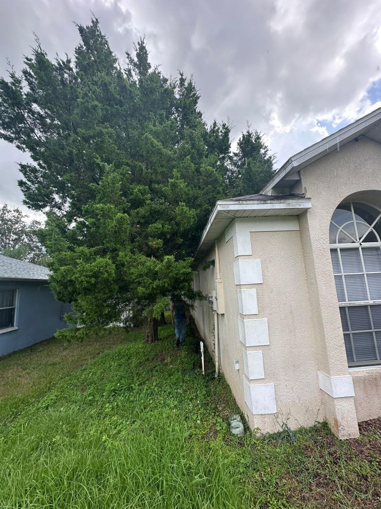 All Photos for Kramer & Son’s Property Maintenance in Hudson, FL
