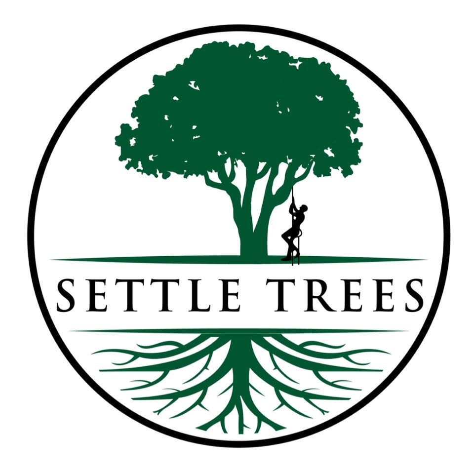 Our Planting and Establishment service ensures proper selection, placement, and care of new trees to thrive in your landscape. Let us enhance the beauty of your property with our expertise. for Settle Tree Services in Knoxville, TN