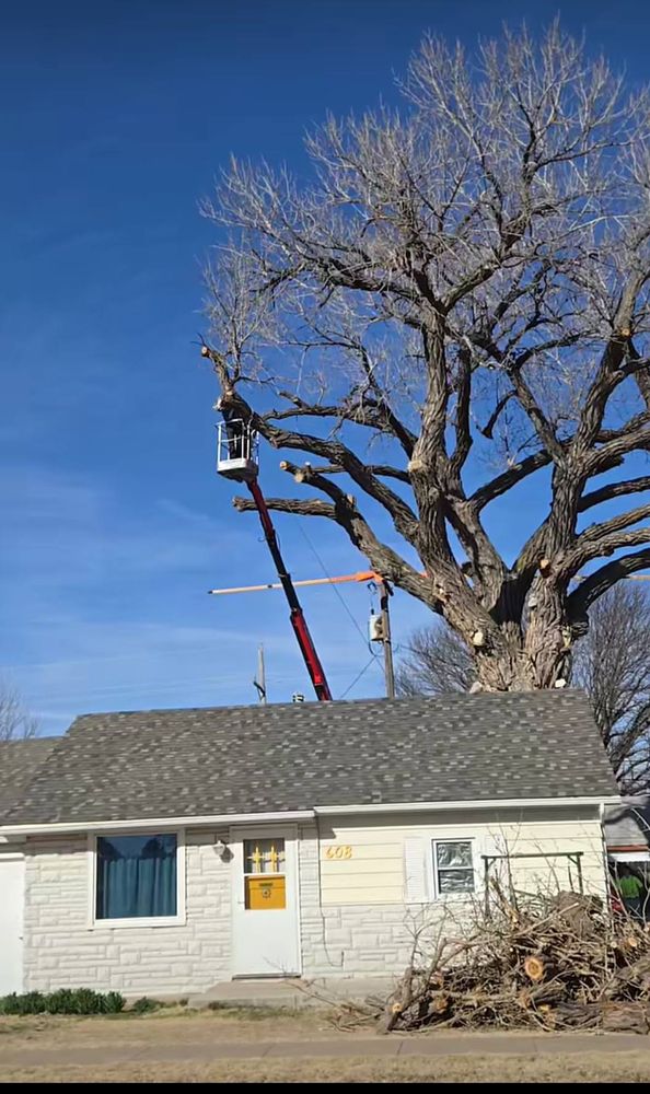 Enhance your property’s safety and beauty with our expert tree trimming service. We ensure healthy growth, prevent hazards, and enhance curb appeal while promoting the longevity of your trees. for SMH Tree Service in Atwood, KS