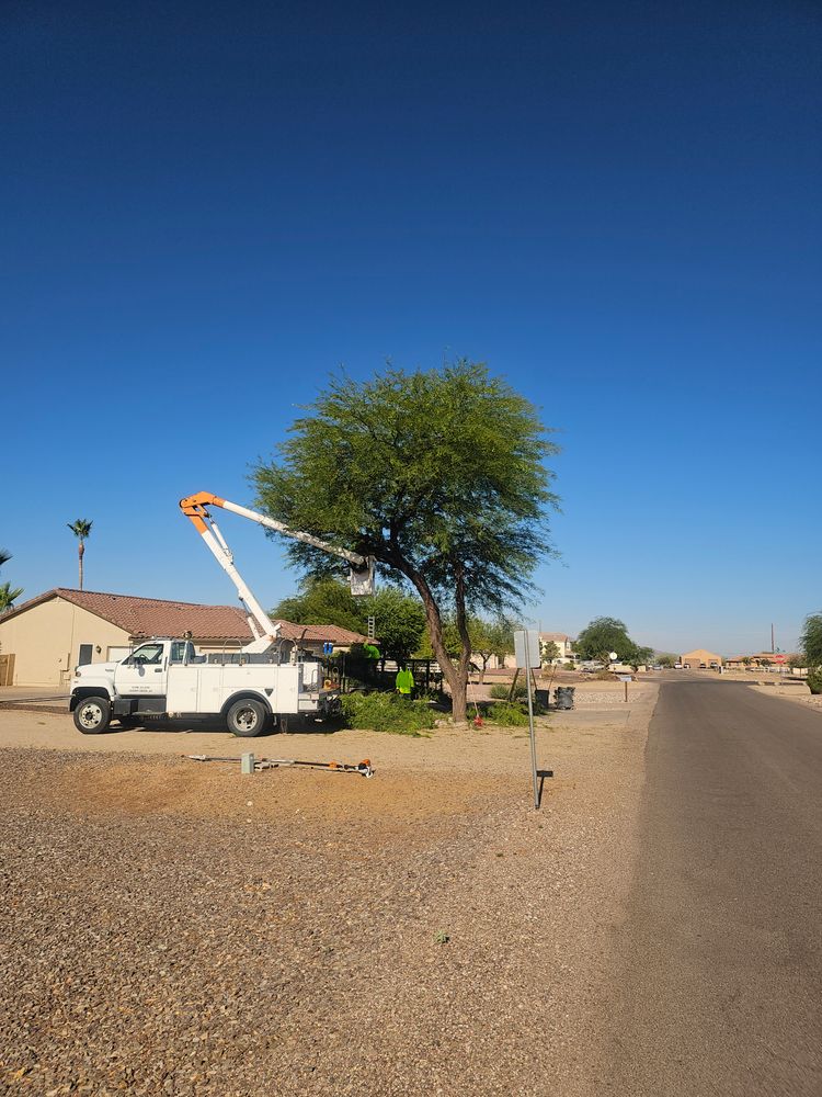 All Photos for T's Tree Service and Firewood in Apache Junction, AZ