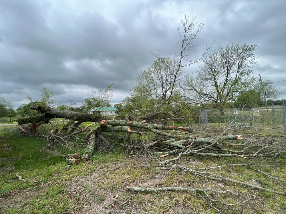 All Photos for Mud Creek Vegetation Management in Russellville, AL