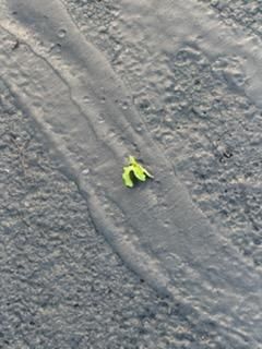 All Photos for James R Carter Paving in Roanoke, VA