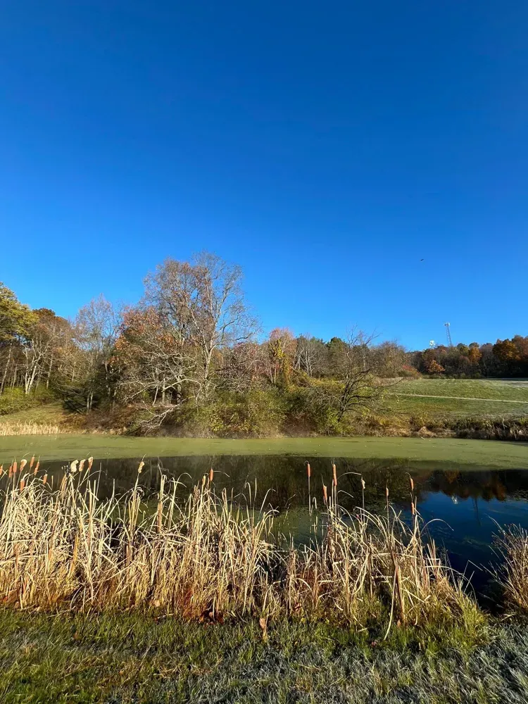 All Photos for Licensed to Cut Tree Service in Athens, PA