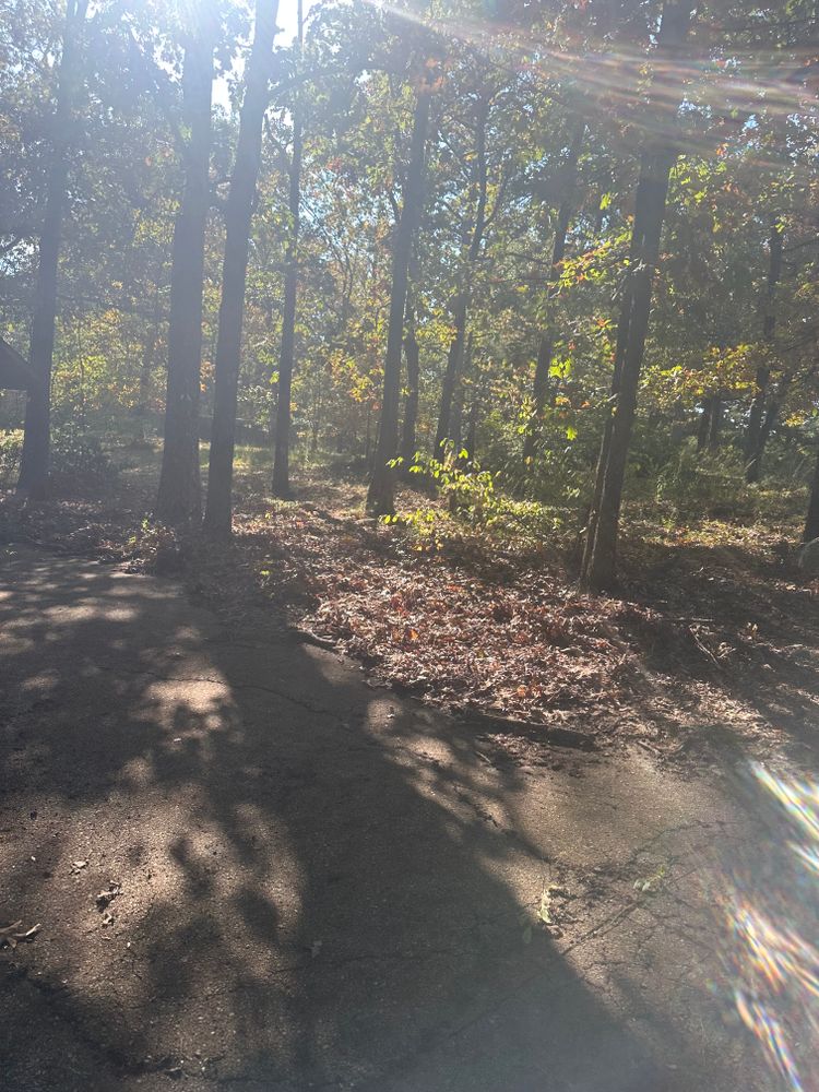 All Photos for J.P Landscaping and excavation in Chattanooga, TN