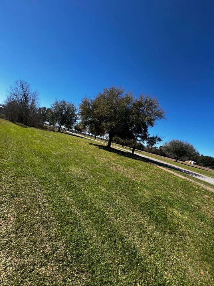 All Photos for Enhanced Landscape in Daphne, AL