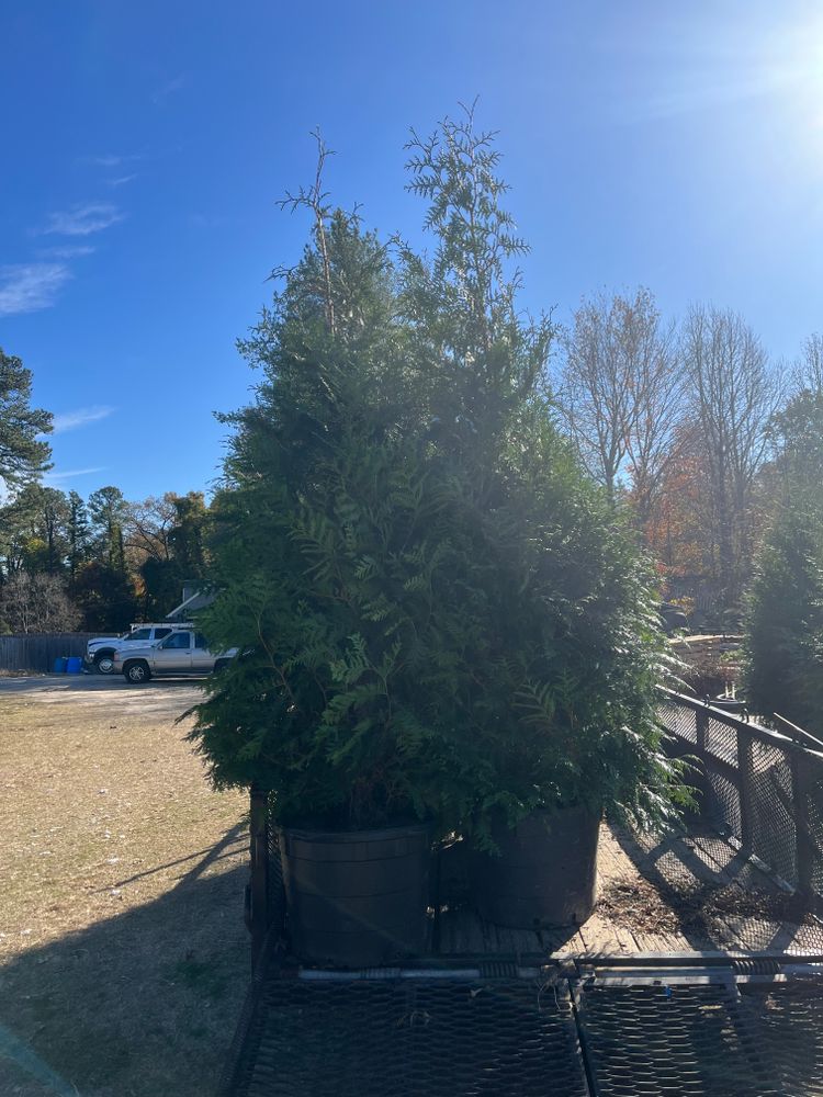 All Photos for Atlas Home Services in Mechanicsville, VA