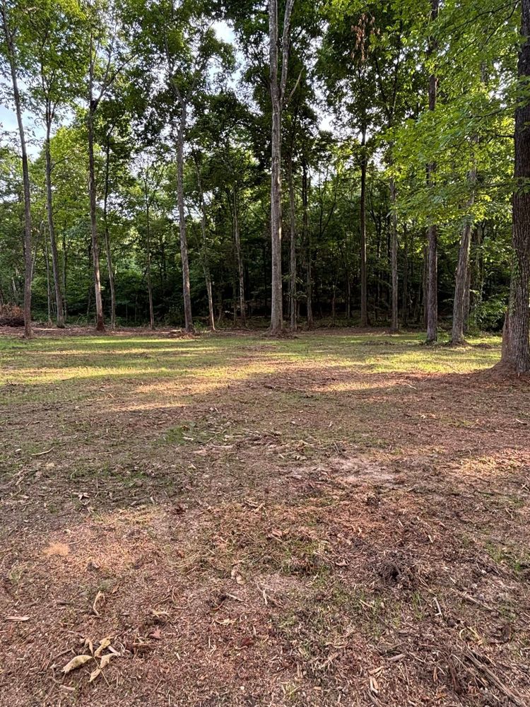 All Photos for JC Land Clearing in Shelbyville, TN
