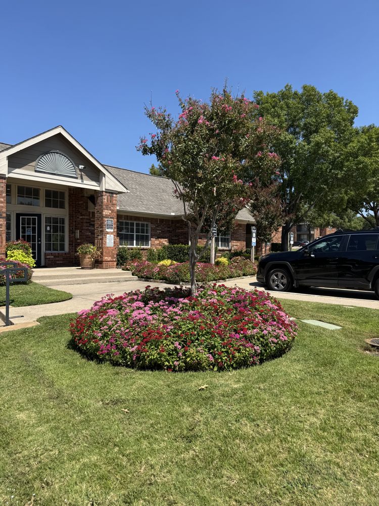 Summer flowers for Guerrero's Landscape in Fort Worth,  TX