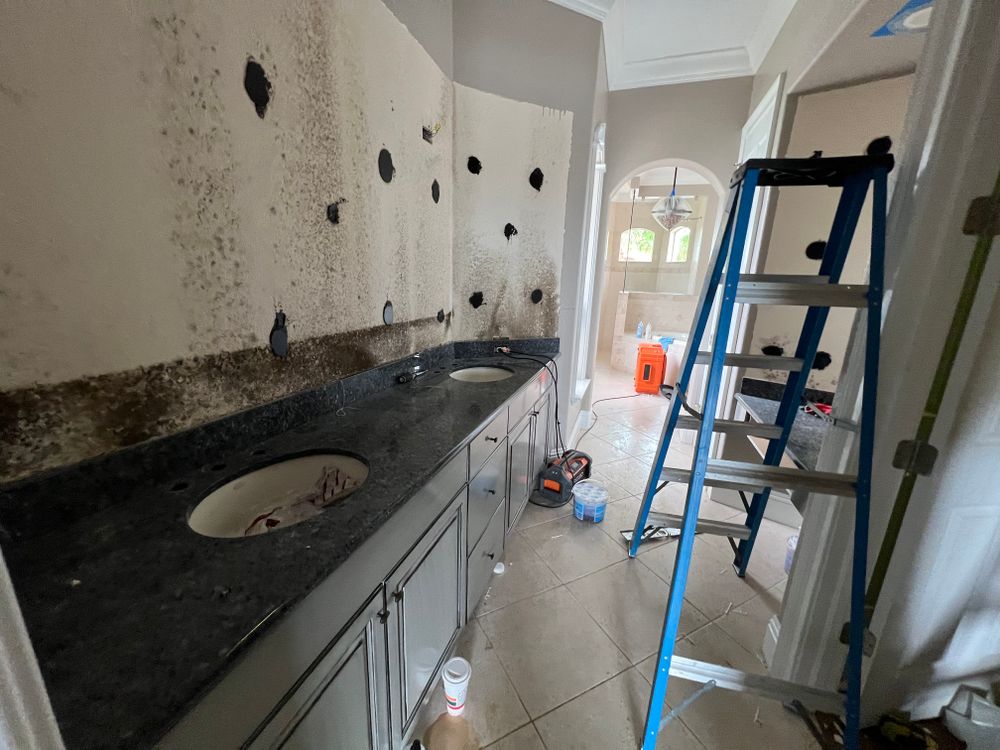 Mold Remediation for N&D Restoration Services When Disaster Attacks, We Come In in Cape Coral,  FL