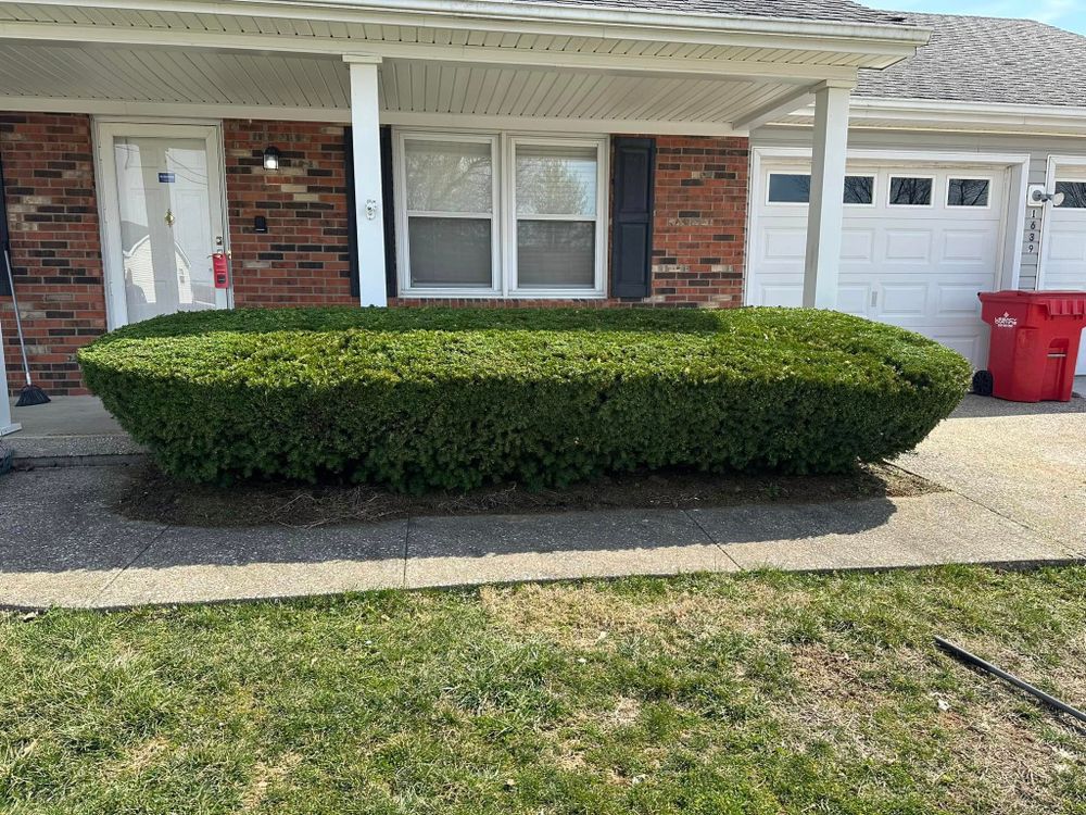 Lawn and Landscape for JKL Lawn Service in Frankfort, KY