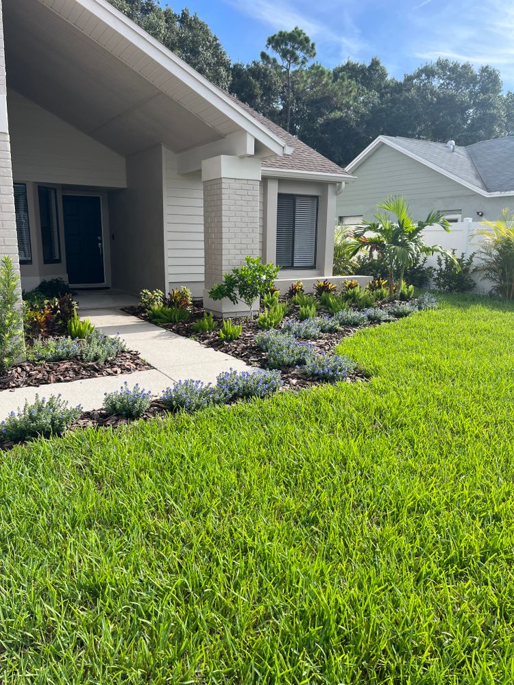 Landscape Design and Installation for Verimay's Garden and Landscaping in Hillsborough County, FL