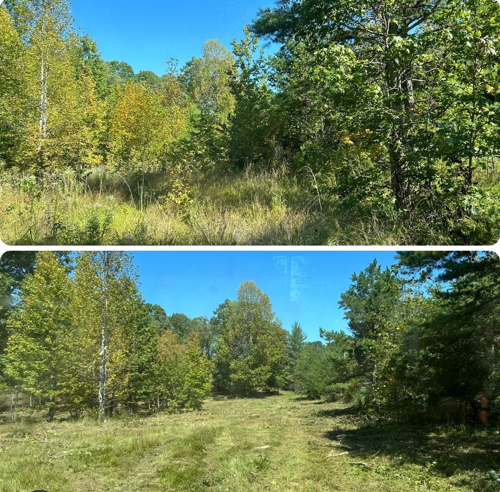 All Photos for McBee’s Tree Service in Sewanee, TN