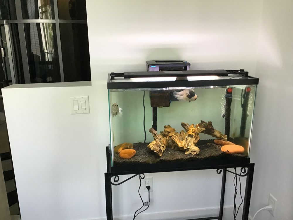 BEFORE AND AFTER for Aquariums by Sharyn in The State of Florida, FL