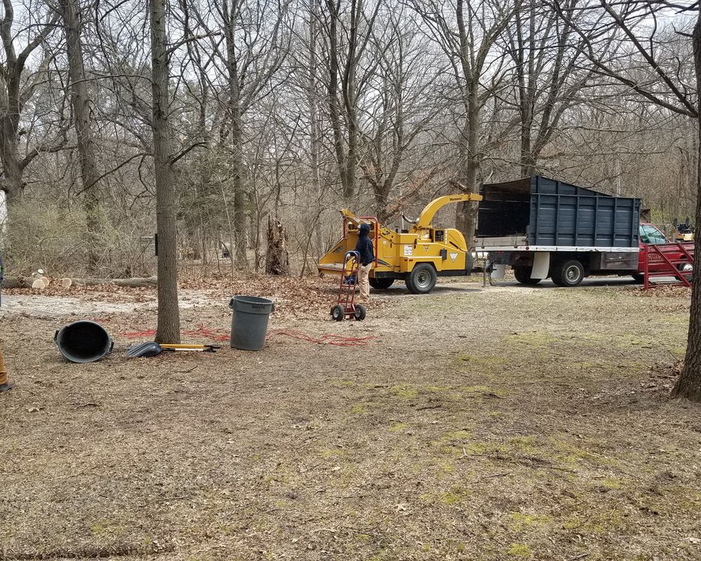 All Photos for O&O Tree Service in Rockford, IL