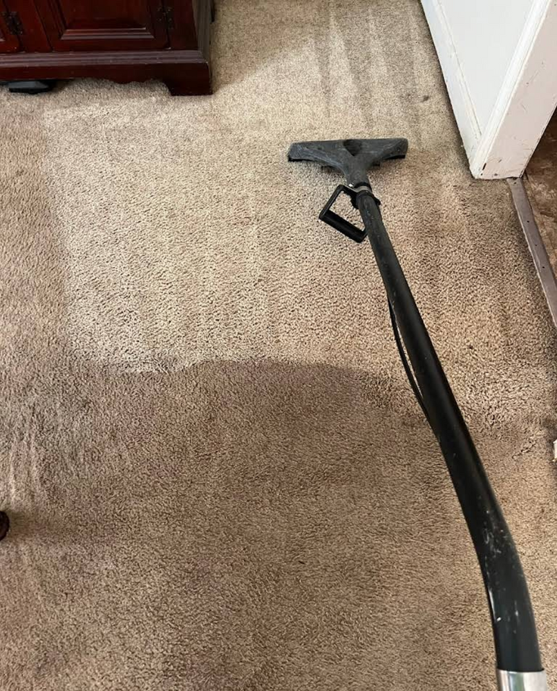 Carpet Cleaning for Banderas Cleaning Service in Elsmere, DE