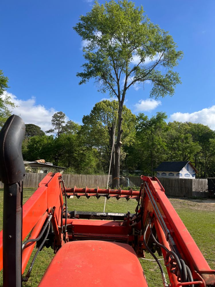 All Photos for JC Land and Tree Service in Kilgore, TX