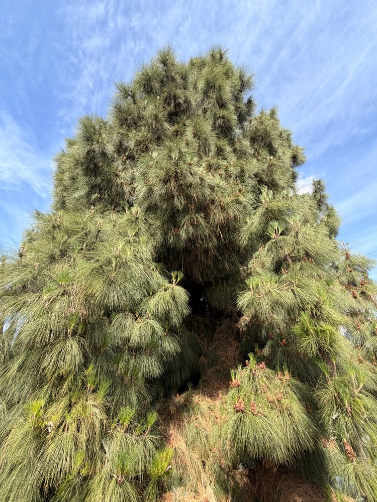 All Photos for JJs Relocation Services in Orange County, CA
