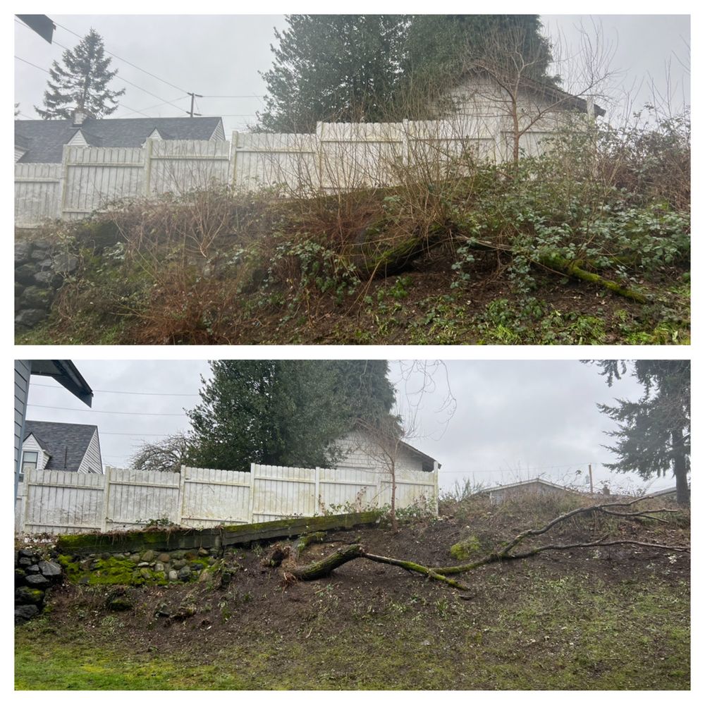 All Photos for Hall of Fame Landscaping in Bremerton, WA